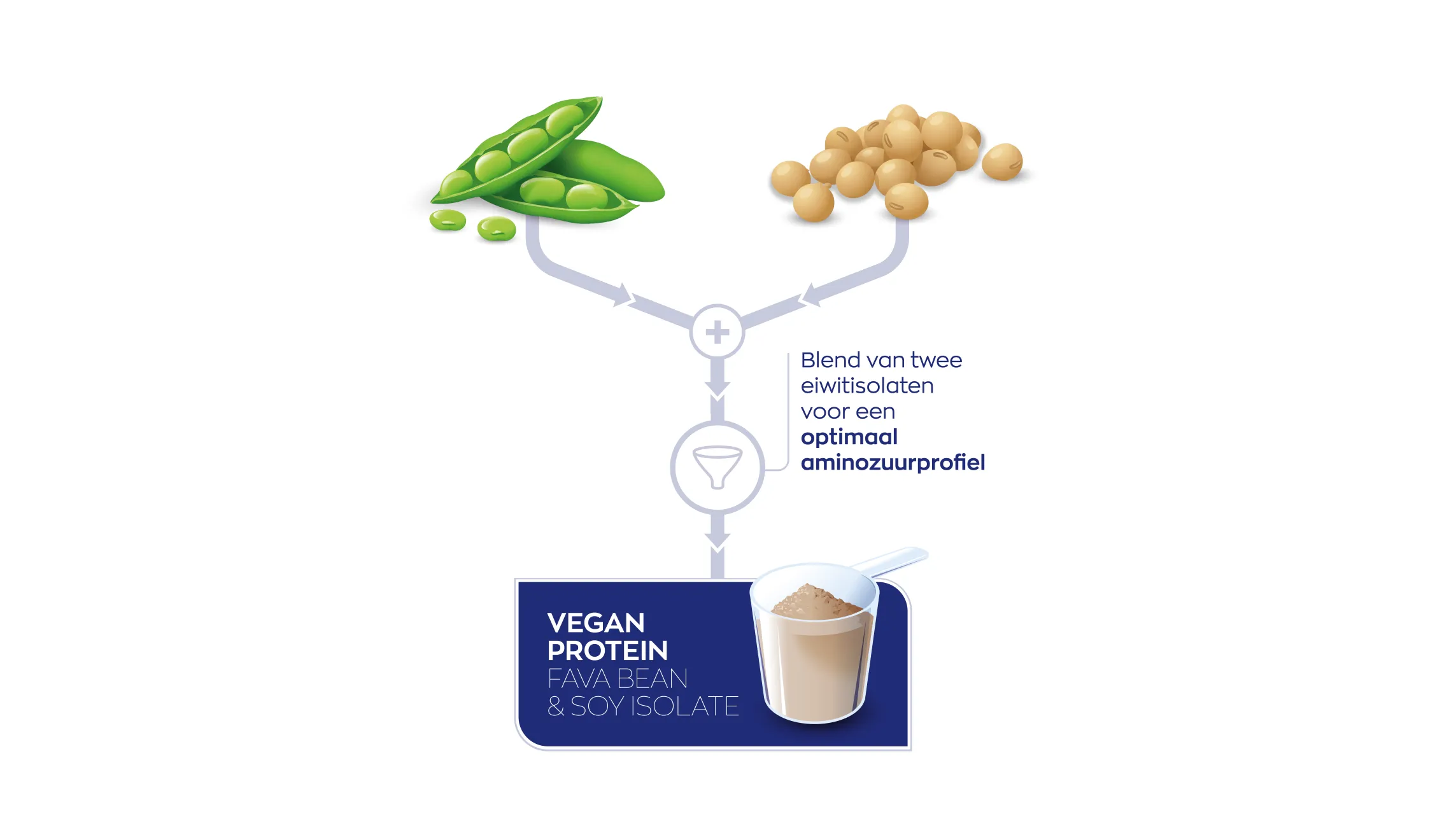 Vegan Protein EverPro™ & Fava Bean (921 gr) - image 2