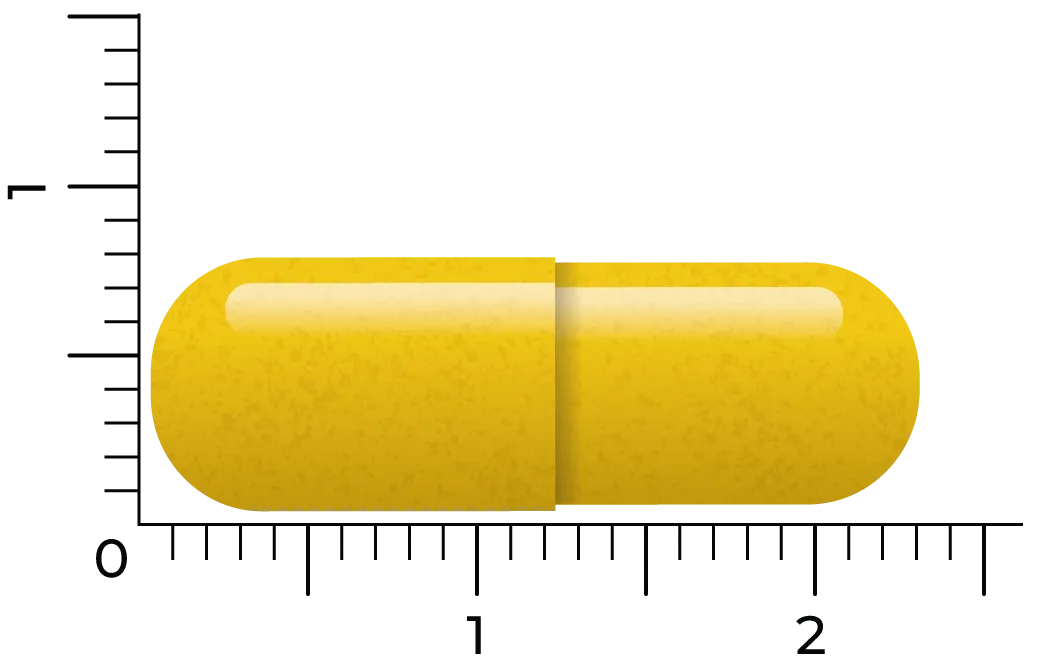 Vitakruid Berberine 500 Rebersa® 97-102% Berberine Zouten (60 vega capsules) - image 4