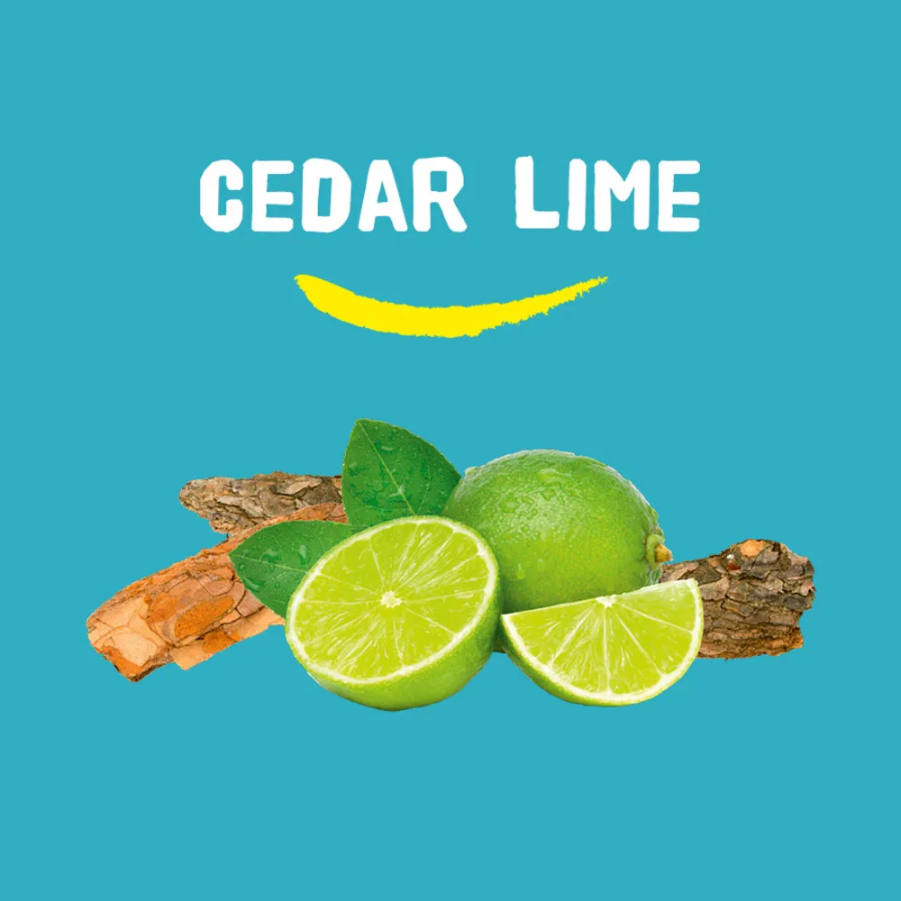 Happy Earth Pure deodorant roll-on cedar lime (75 ml) - image 6